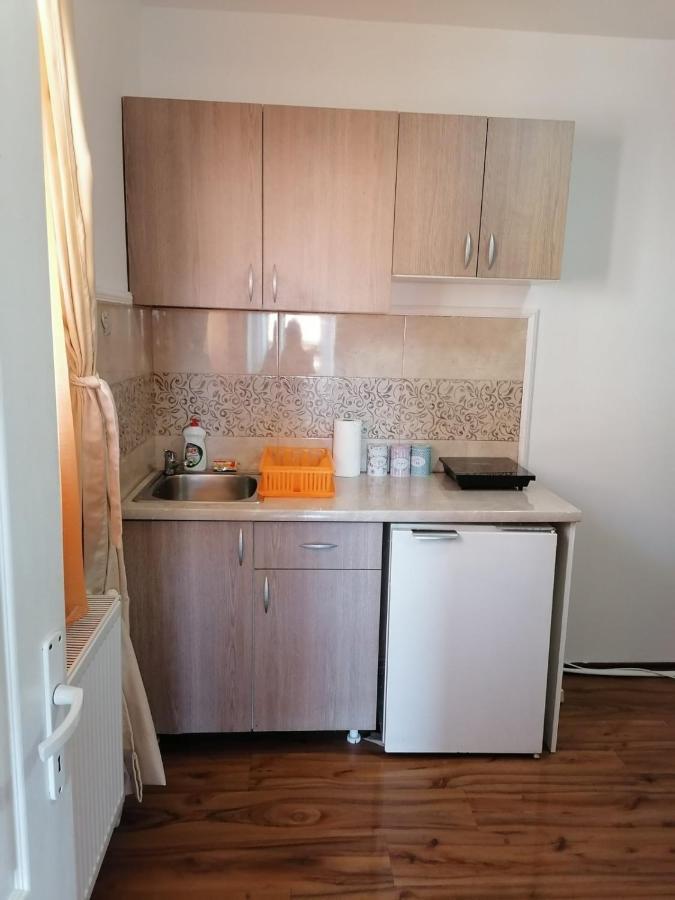 Apartmani Milosavljevic Сокобаня Экстерьер фото